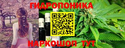 стафф Кимры