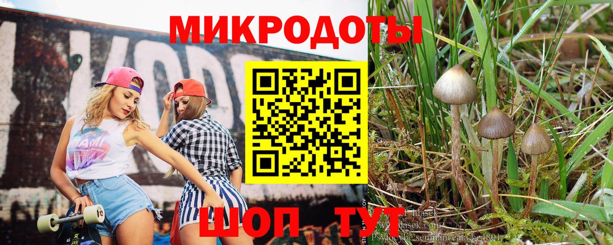 Галлюциногенные грибы Magic Shrooms Краснознаменск